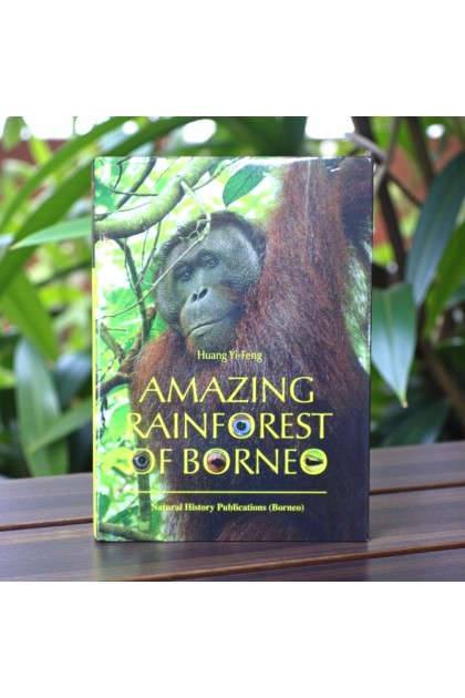 Book - Amazing Rainforest of Borneo