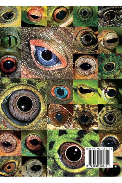 Book - Amazing Rainforest of Borneo
