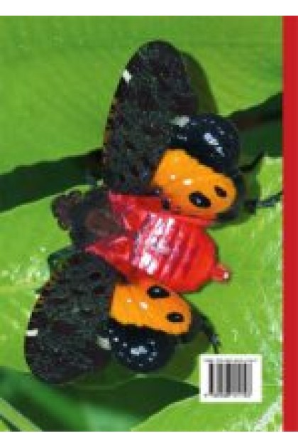 Book - A Guide to the Lanternflies of Borneo