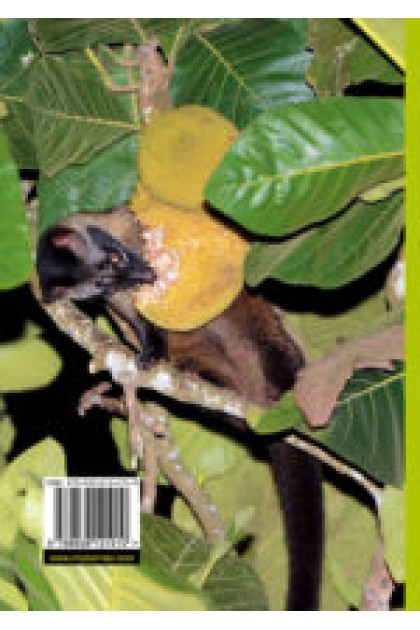 Book - A Guide To Wild Fruits of Borneo (Hard Cover)
