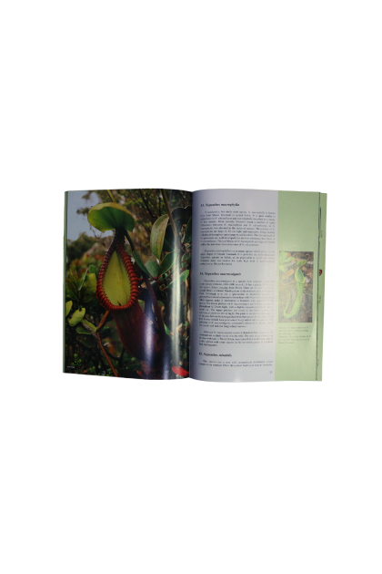 Book: A Guide To The Pitcher Plants of Sabah