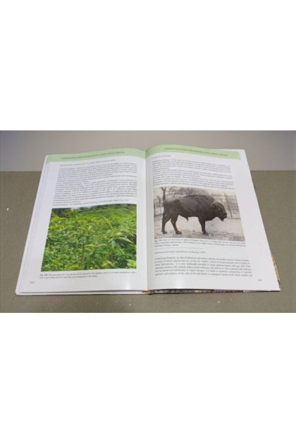 Sabah Book: The Hairy Rhinoceros - History, ecology and some lessons for management of the last Asian megafauna