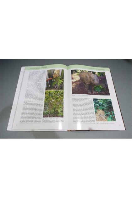 Sabah Book: The Hairy Rhinoceros - History, ecology and some lessons for management of the last Asian megafauna