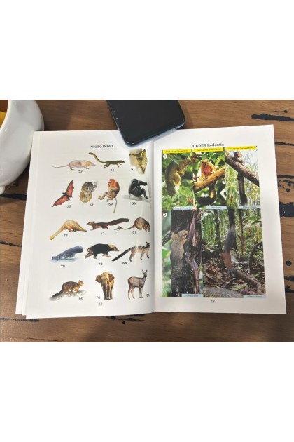 A Pocket Guide To Mammals of Borneo by Shavez Cheema